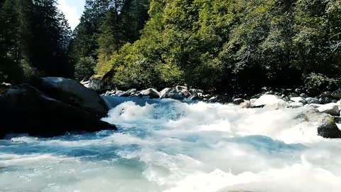 Nature