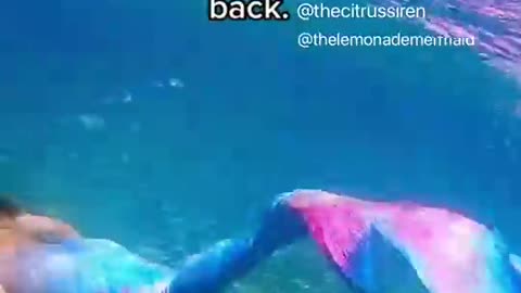 mermaid swimming in the ocean mermaid tail Finfolk