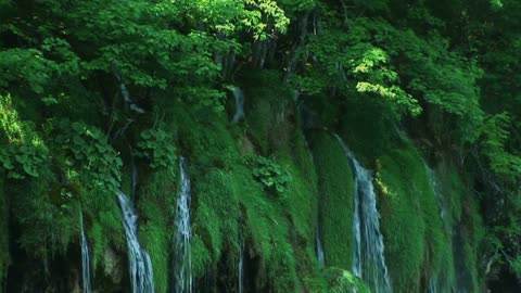 Beautiful Nature Landscape