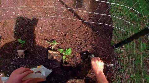 2021 Vegetable Garden Tour - POV Gardening Montage