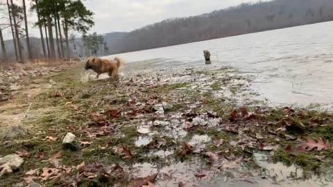 Who else gets this excited to be at the lake?!