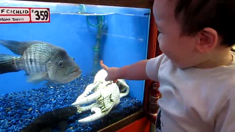 Babe and This is a monster fish, scary!