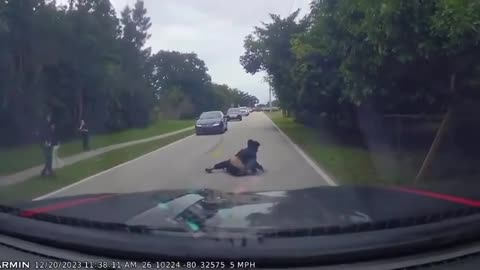 Dash Cam Save From Insurance Scammers