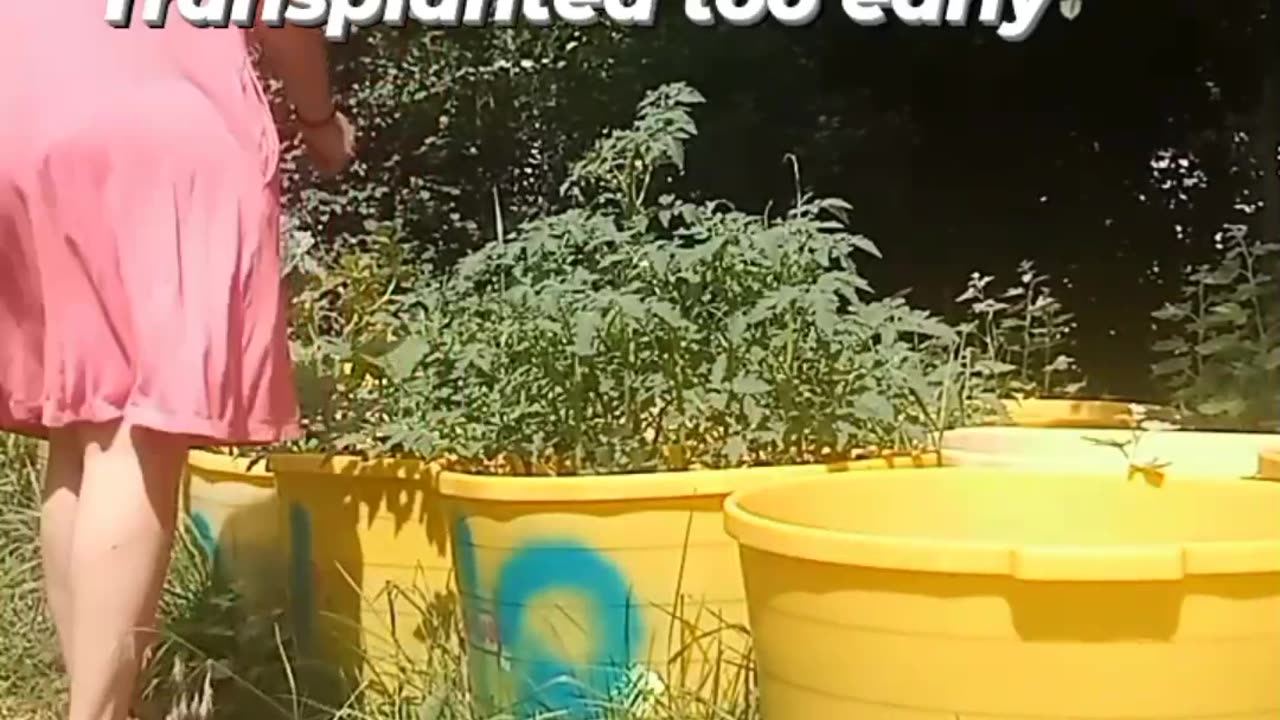 Garden Mistakes