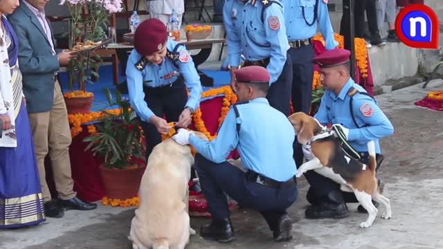 Police Dog Training School in Kathmandu, Nepal