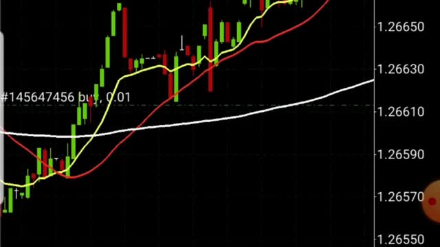 Forex Trading USD/CAD | How To Trade Forex Right | My Forex Journey 78+ PIPS