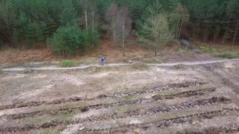 Trail Dogs