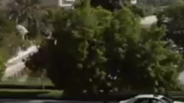 Luxury Life 1 #Rolls Royce #shorts