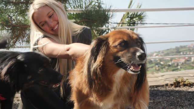 A Smiling Girl Is Petting Dogs😍