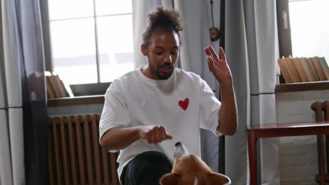 A very easy and fun way to train your dog to sit