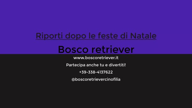 Riporto sportivo, ripresa dopo il natale