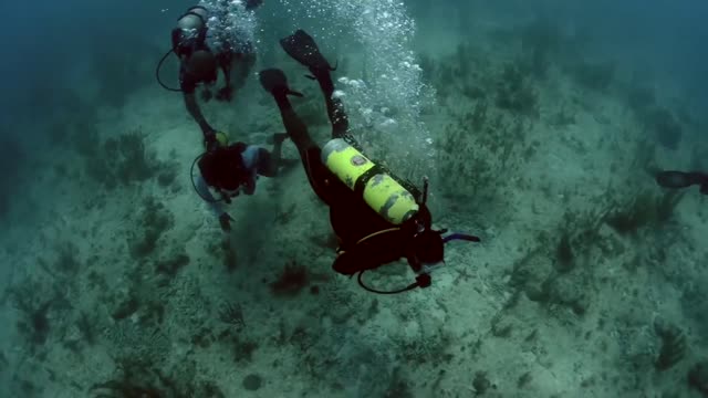 Navy Divers From mobile Diving 2021