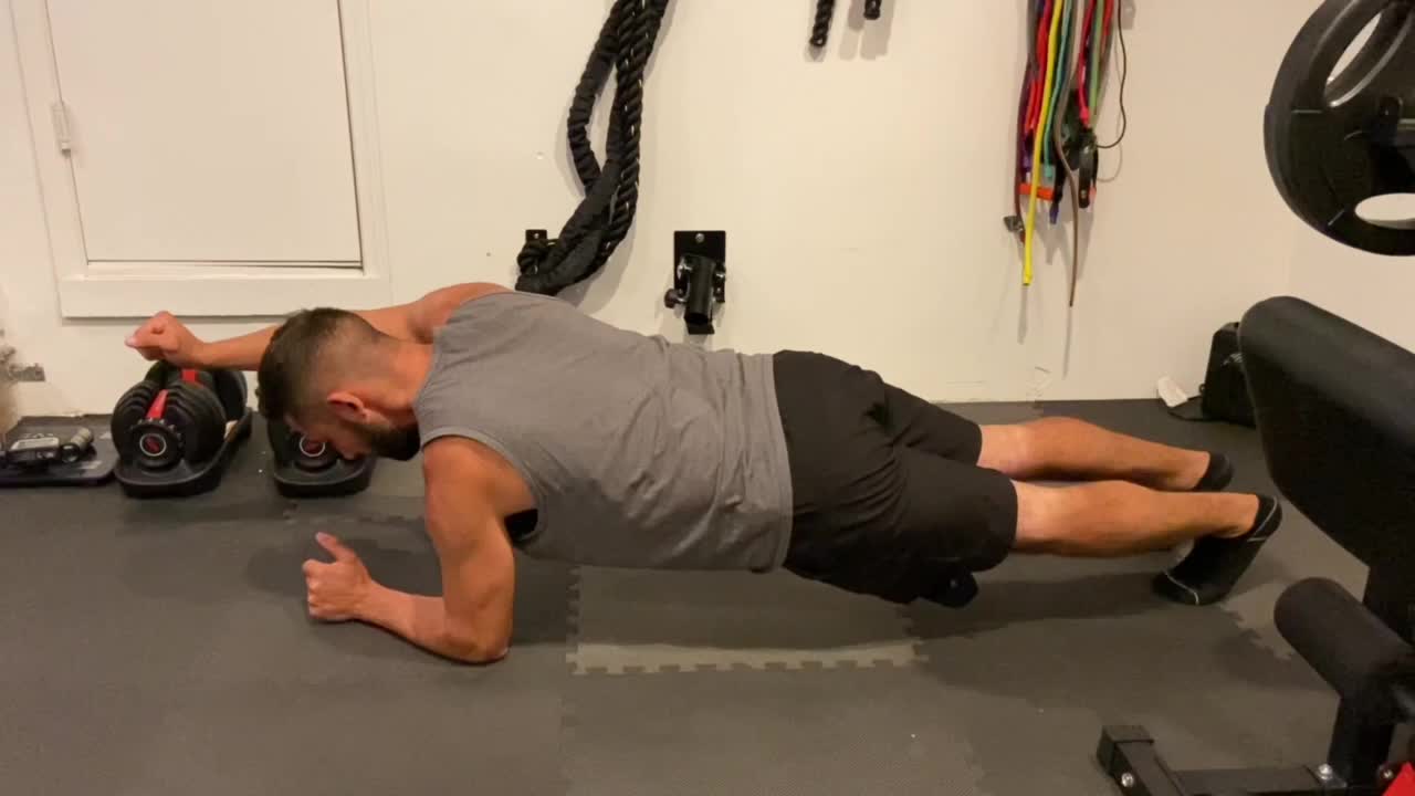 Elbow Plank Alternating Overhead Arm Lift