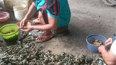 Kerja ngupas kerang hijau