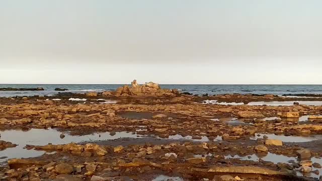 The sea retreated