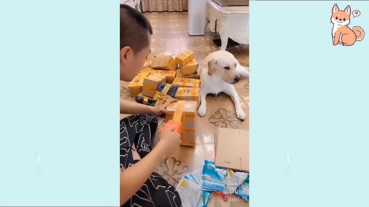 Clever dog!! funny videos