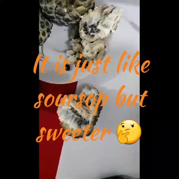 Exotic Fruit Reveal "Annon"