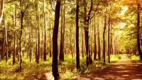 Time with God - November 24