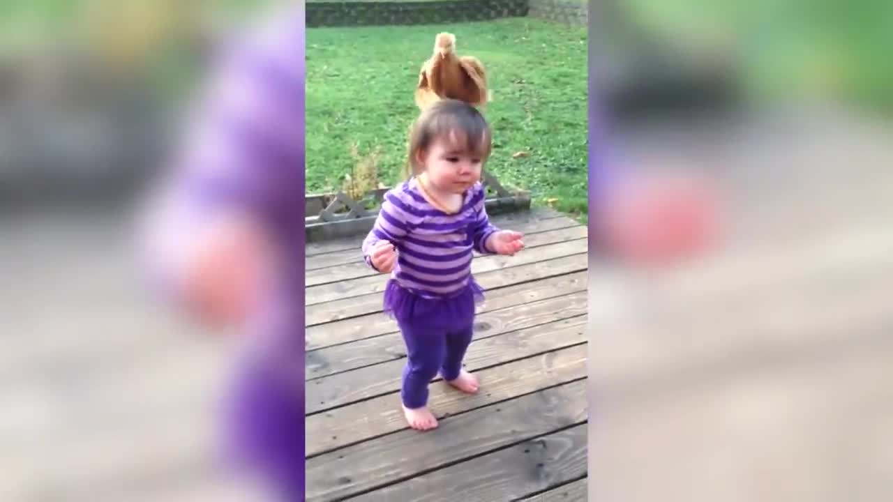 Funniest Kids and Pets Compilation