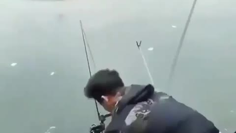 This is a beautiful and charming water-dwelling species