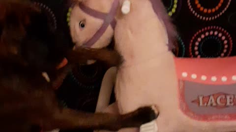 Dogs enemy's with pony!!