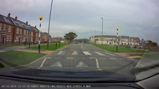 Clever Cat Uses Crosswalk