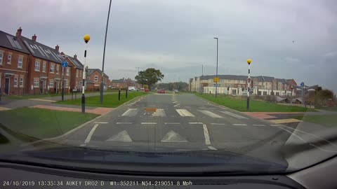 Clever Cat Uses Crosswalk