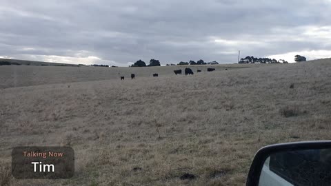 Getting into Lamb Farming (Pt. 2) | Tim interviews James and Jono from Tekoa Farms