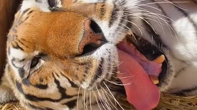 See this amazing 🤩💕🤩