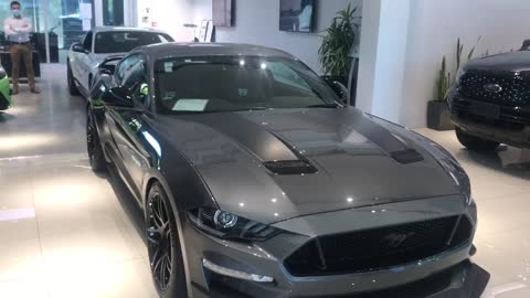 Mustang SM17 Limited Edition