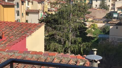 My Italian quarantine, March 2020