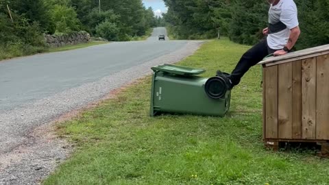 Raccoons Refuge In Garbage Bin