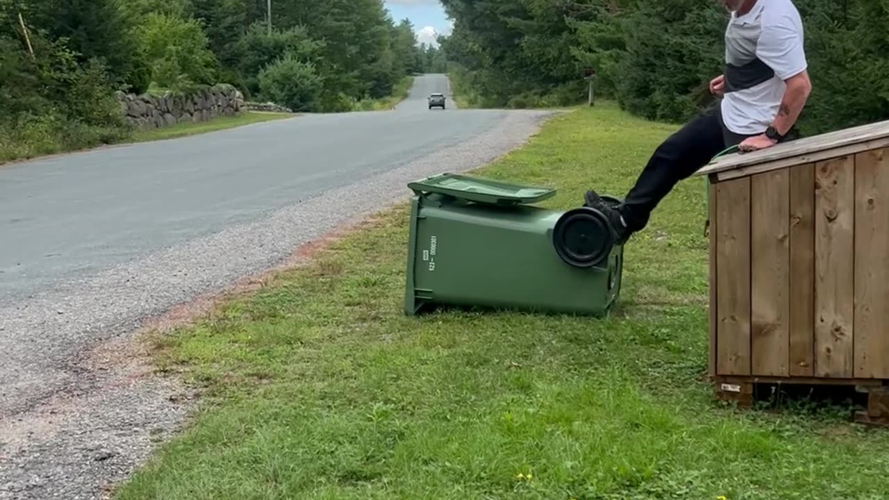 Raccoons Refuge In Garbage Bin