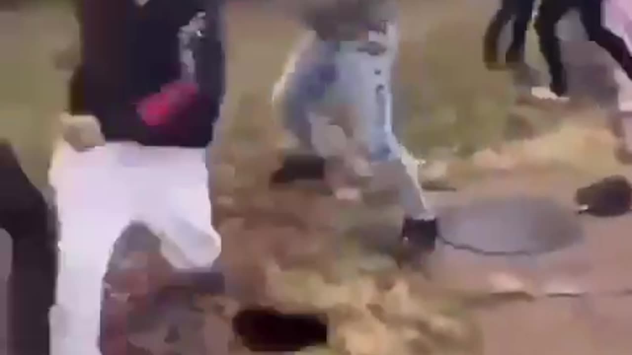 Black Girl nearly kills a white girl in a fight!