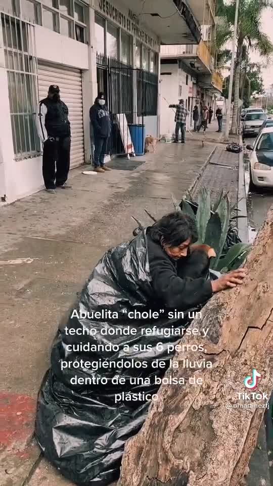 Amor incondicional: Chole prefiere dormir en la calle a separarse de sus perros en Tijuana