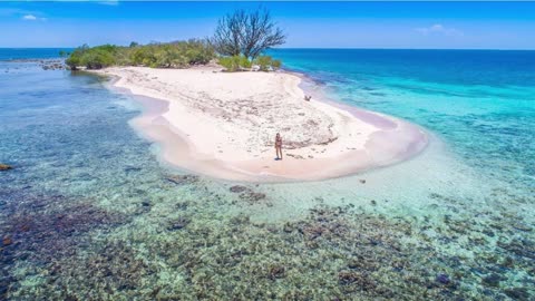 Island Treasures Jamaica