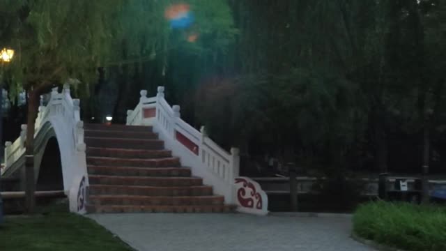 bridge in the park