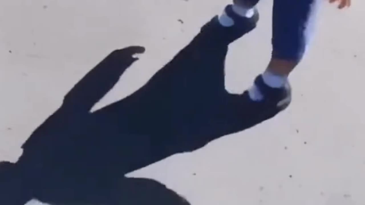 Ghost Shadowsš¤£