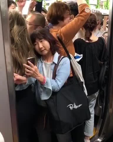 Lady trying to squeeze into closing subway train bag stuck in closing door