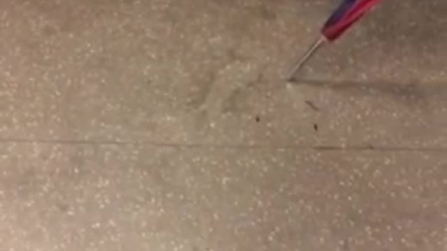 Guy with rainbow umbrella picking up crumbs from subway floor