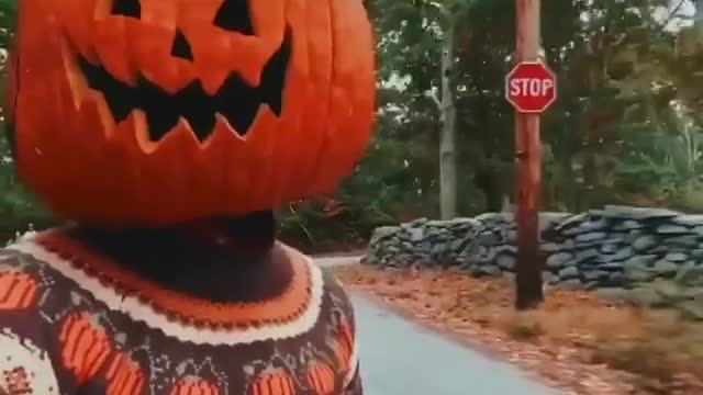 How to truly enjoy Fall