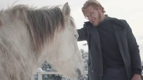 Portrait bearded guy with glasses strokes a beautiful white horse