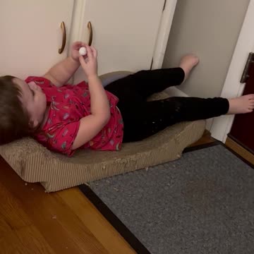 Guess she has a new bed…