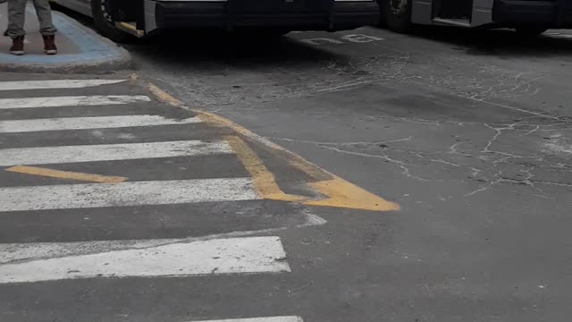 Bus 1