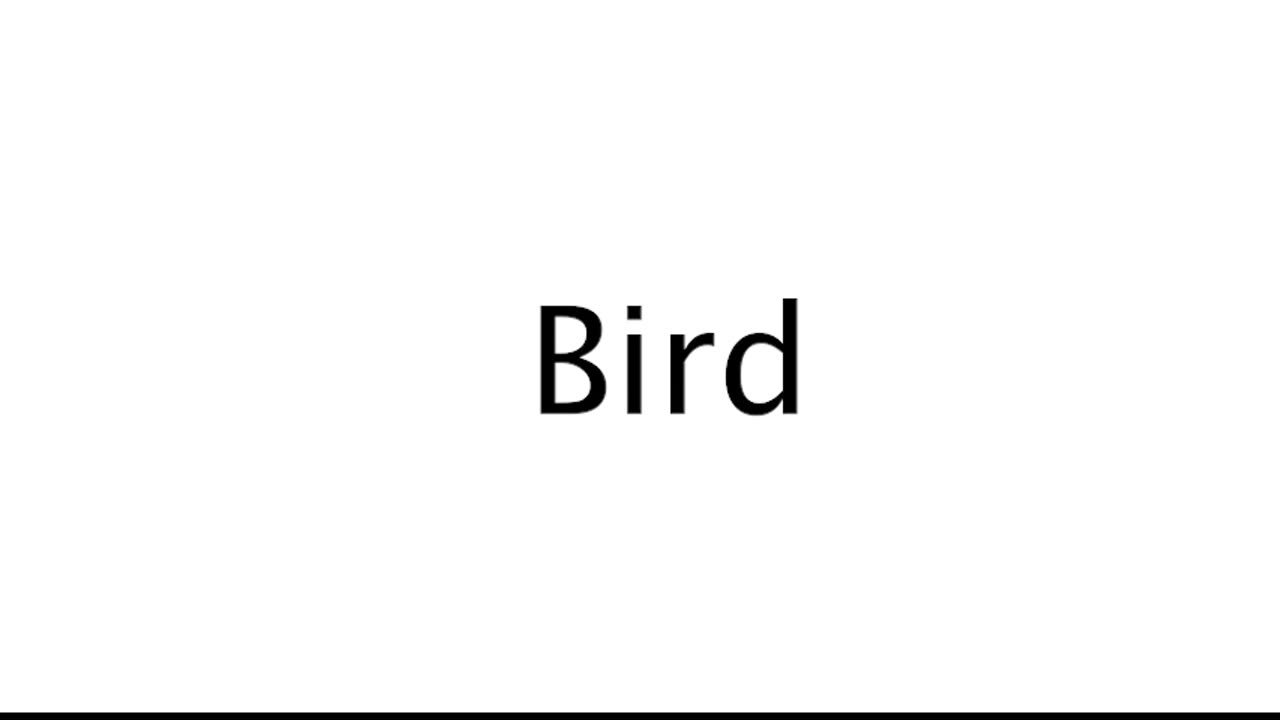 How to Pronounce Bird