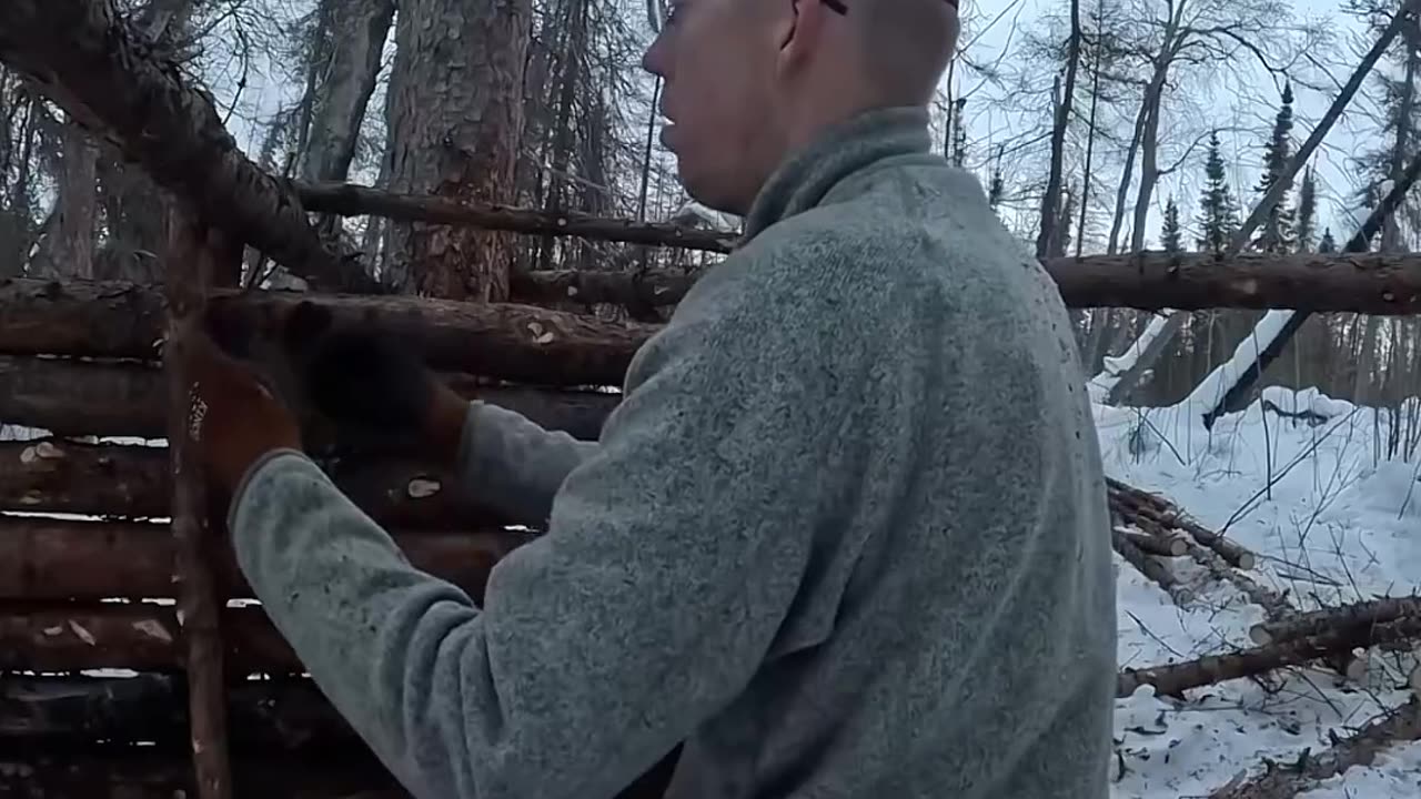 Building Survival Shelter in Alaskan Forest