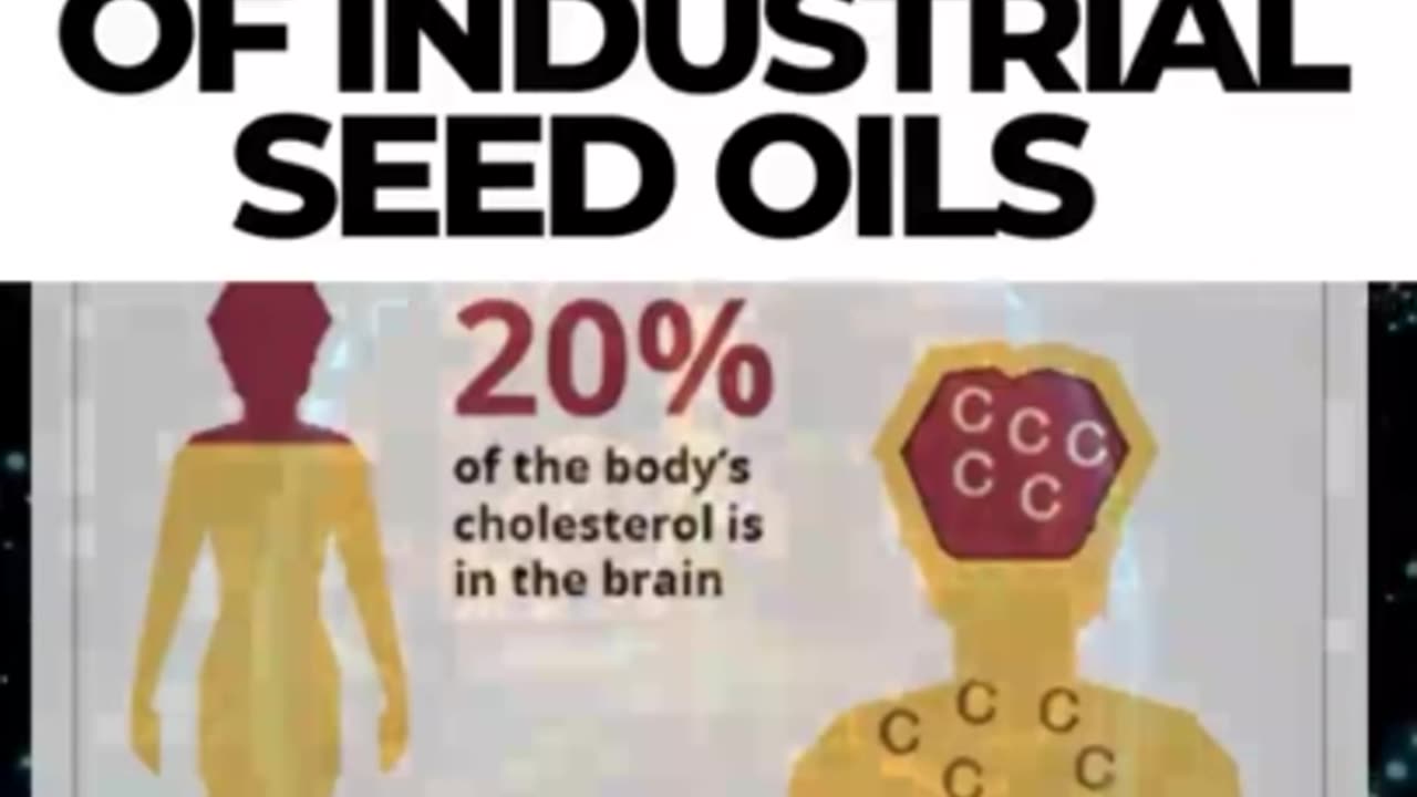 The Dark History of Industrial Seed Oils