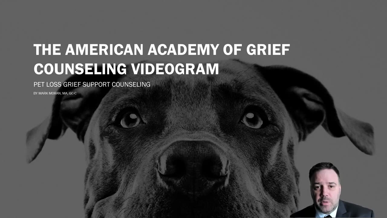 Pet Loss Grief Support Counseling Videogram