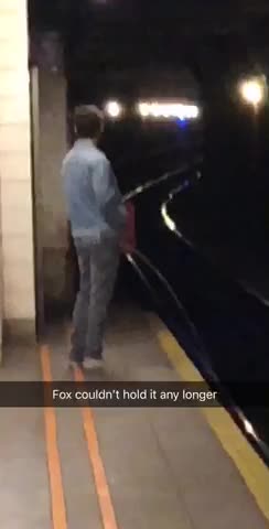 Fox couldnt hold it any longer