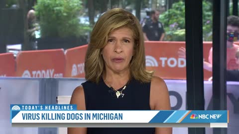 Dozens Of Dogs In Michigan Sick With Unidentified Virus